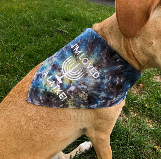 Hanukkah Dog Bandana