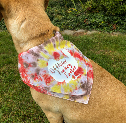 Thanksgiving Dog Bandana